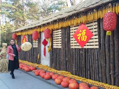 -黑龙江省森林植物园