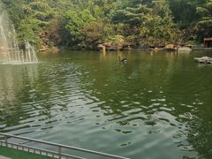 -华夏良子·足道SPA艾灸(山东大厦店)