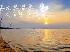 -仙人岛