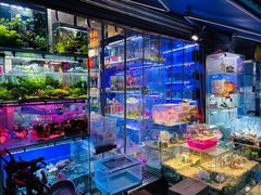 -青石桥花鸟鱼虫市场(叠翠城店)