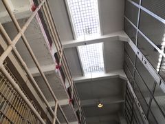 -阿尔卡特拉斯岛