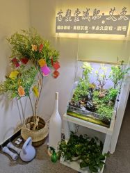 -苗塑堂减肥·艾灸