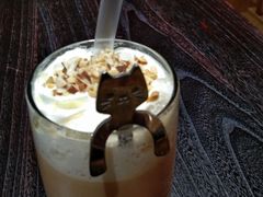 -滚猫咖啡·猫咖·猫友好撸猫(未来城店)