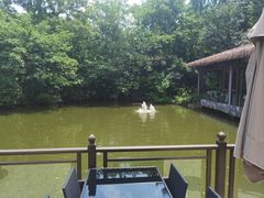 -茅庐·川粤精品私房菜(金沙遗址店)