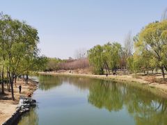 -大兴滨河森林公园