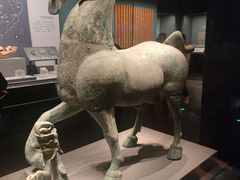 -广西壮族自治区博物馆