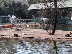 -长白岛森林公园