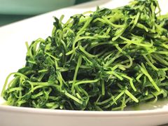 清炒豌豆苗-羲和雅苑•北京烤鸭(国贸商城店)
