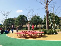 -风云岭森林公园