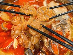 -老城鲜·小海鲜贝贝煲火锅(壹方城店)