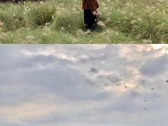 -白鹭湾湿地公园