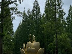 -东平国家森林公园