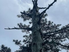 -罗田薄刀峰风景区