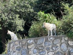 -北京西山国家森林公园