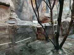-泉城欧乐堡海洋极地世界