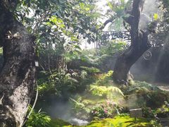 -Chom Cafe and Restaurant