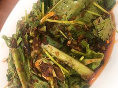 -陈有良尖椒鸡(渝中示范店)