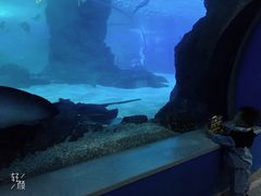 -常州海昌海洋探索馆