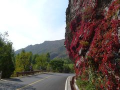 -乌龙峡谷景区