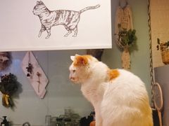 -平行世界·猫咖(首经贸店)
