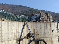 -无锡动物园·太湖欢乐园