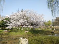 -堤角公园
