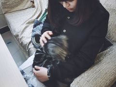 android_upload_pic-萌喵宠狗爱心宠咖