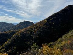 -大岭沟猕猴桃谷风景区