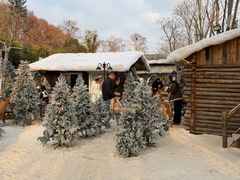 -HERRE·FARM 赫尔露营农场·团建聚会包场