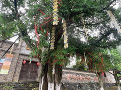 -乌石村
