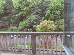 -浙江宾馆·花园餐厅·自助餐厅·茶吧
