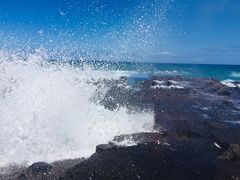 -阿甘虾餐厅(Maui)