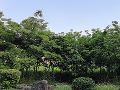 -金龙洞地下河