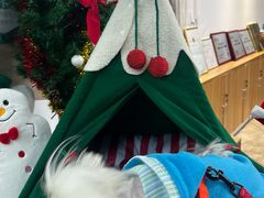 -美联众合动物医院·24h转诊中心