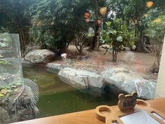 -熊猫自助餐厅.萌趣城堡(长隆熊猫酒店)
