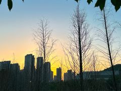 -牛岗山公园