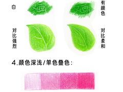 -谷隆画舍·国画书法素描彩铅水彩