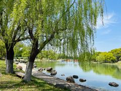 -东方绿舟景区