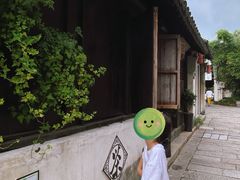 -黎里古镇