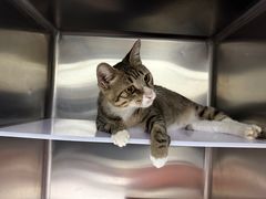 -拜鲁耶动物诊疗中心·宠家动物医院