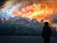 -罗红摄影艺术馆