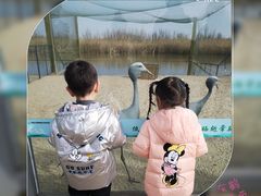 -盐城丹顶鹤湿地生态旅游区