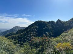 -大岭沟猕猴桃谷风景区