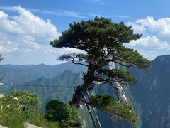 -华山风景名胜区