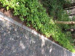 狐尾山公园-狐尾山公园
