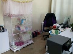 -青春加萌照相馆