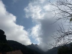 -灵光寺