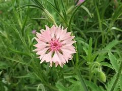 -盘龙城国家考古遗址公园