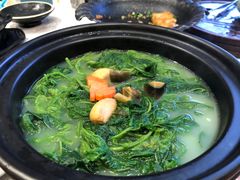 鸡汤浸桑芽苗-寻味顺德·珍之宝酒楼(银钻店)