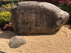 -嘉定紫藤园